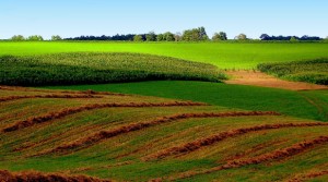 farm-land-300x167